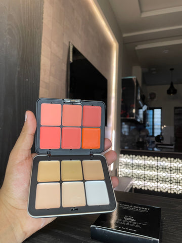 CARLA SECRET CREAMY BLUSH AND CONCEAL PALETTE.